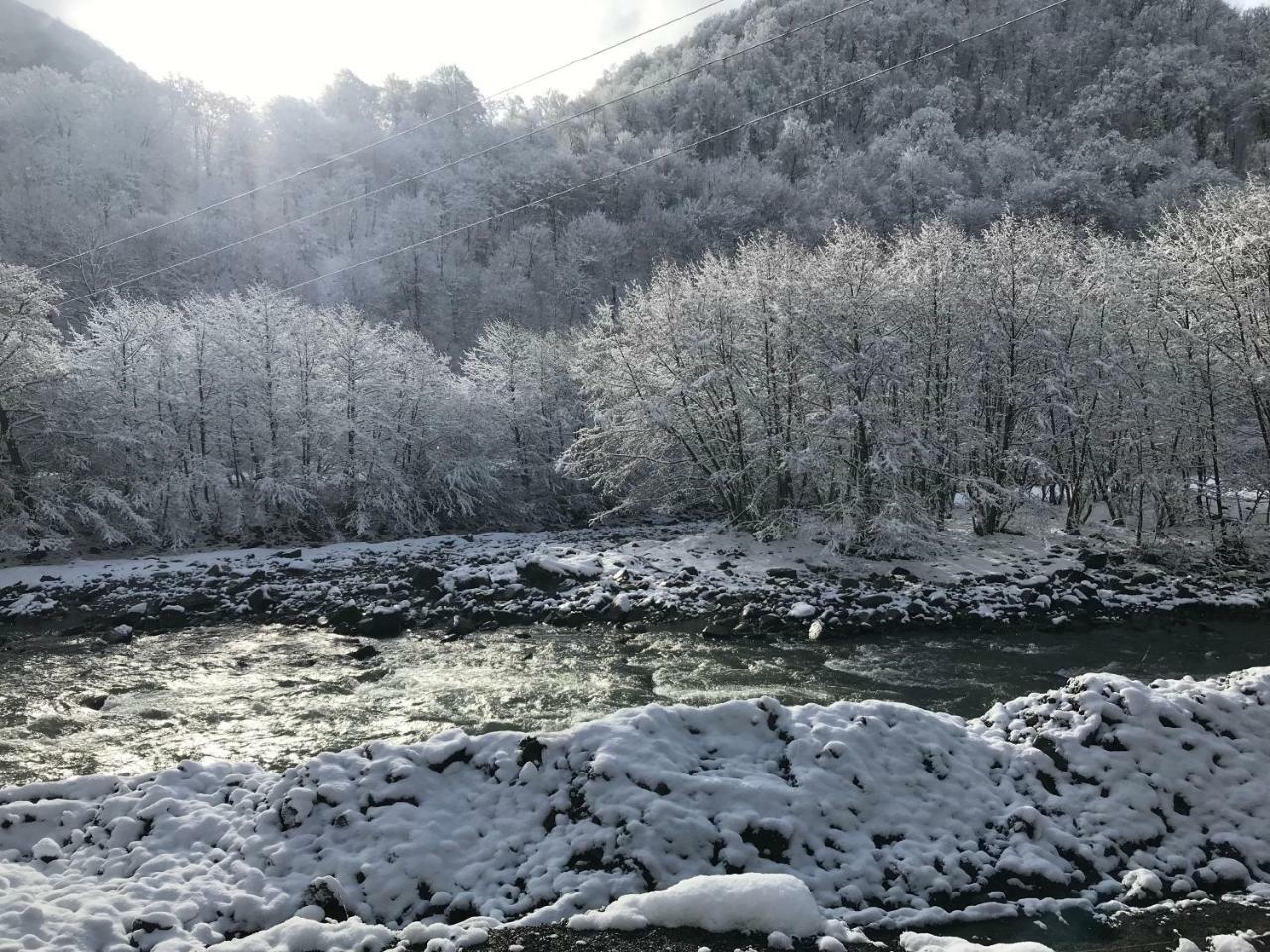 فندق Tourist Complex Khomi Ch'argali المظهر الخارجي الصورة